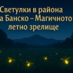 Светлячки освещают летний луг в районе Банско, в горах Пирин – мягкий свет в темном вечере.