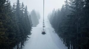 A skier on the steep and calm Chalin Valog slope in Bansko, surrounded by a forest.