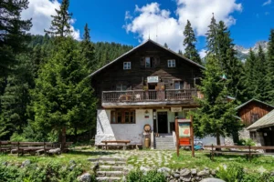 The Demyanitsa wooden hut in the Pirin Mountains, Bulgaria, surrounded by dense coniferous forest and rocky peaks under a blue sky with fluffy clouds. In the foreground is a stone path, wooden benches and tables.