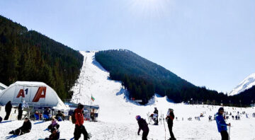 Skiers on a sunny slope in a mountain resort with bright winter sun and coniferous forest in the background.