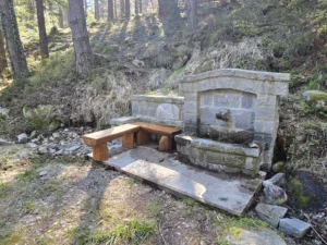 A stone forest fountain with a built-in wooden bench, located in the middle of a coniferous forest. The fountain is made of gray stone with the inscription "NABORI 1974" and flowing spring water. Around it is a forest slope with pine trees.