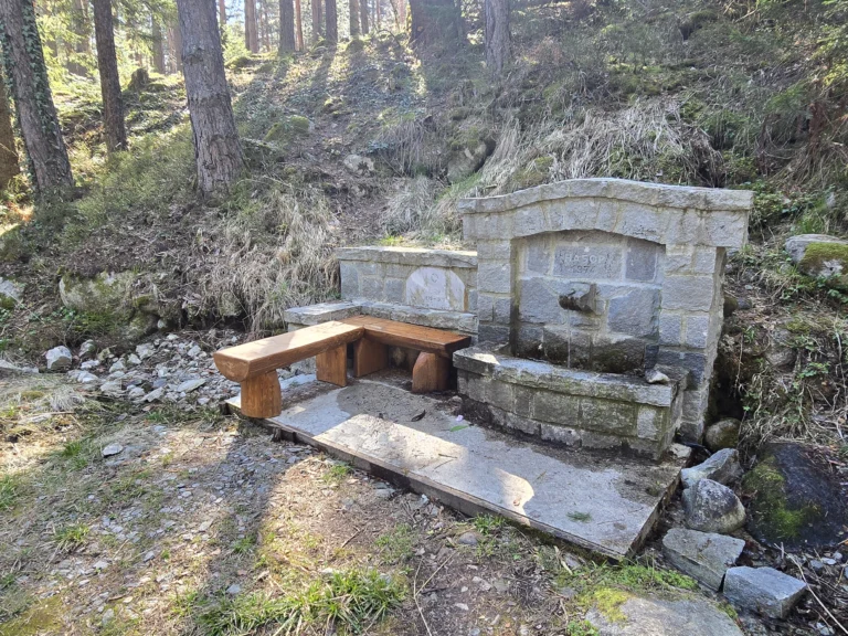 A stone forest fountain with a built-in wooden bench, located in the middle of a coniferous forest. The fountain is made of gray stone with the inscription "NABORI 1974" and flowing spring water. Around it is a forest slope with pine trees.