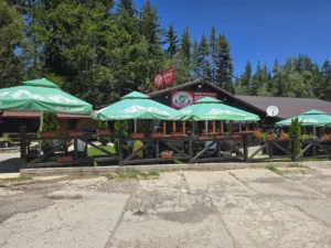 Exterior of the rustic fish restaurant Alpina in Dobrinishte with a stone pond with trout in the foreground and an open terrace with rustic-style wooden tables.