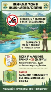 Илюстрована инфографика, описваща правила и глоби в Национален парк Пирин. Показва забрана за плуване в реките, рейнджър с дрон за наблюдение, пример за глоба от 50 евро за група и напомняне, че навлизането във водата е забранено навсякъде в парка