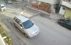 Кадър от инцидент с агресивно куче на улицата в Банско