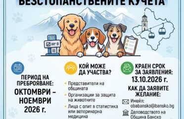 blog-grid-1-410x308